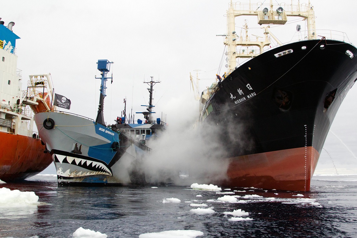 Sea Shepherd S Ship The Bob Barker Arrives In Italy For The First