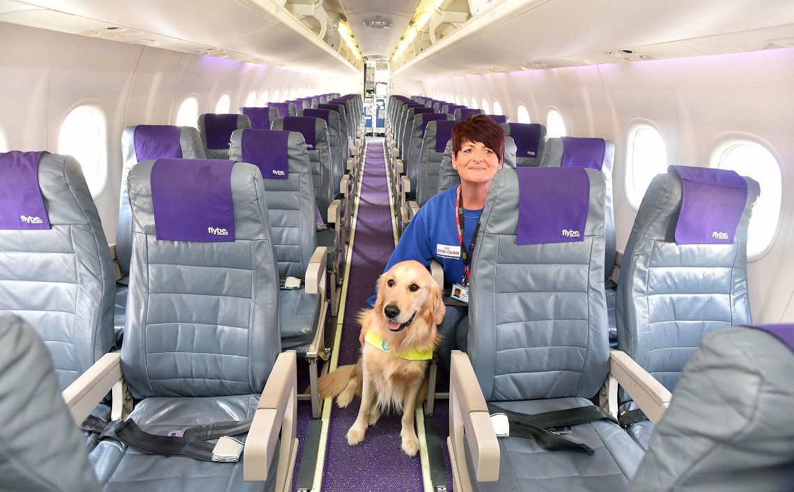 Dogs will fly in the cabin on Delta 