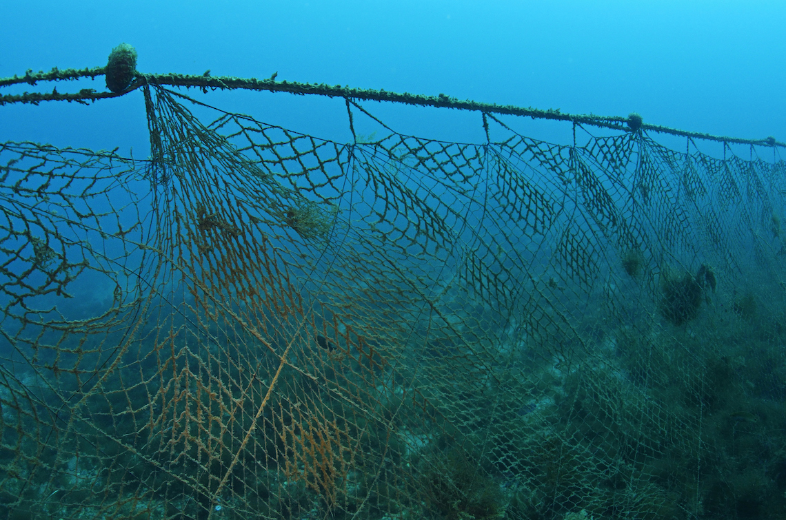 Fisherman nets, 62% wył niesamowite usposobienie 