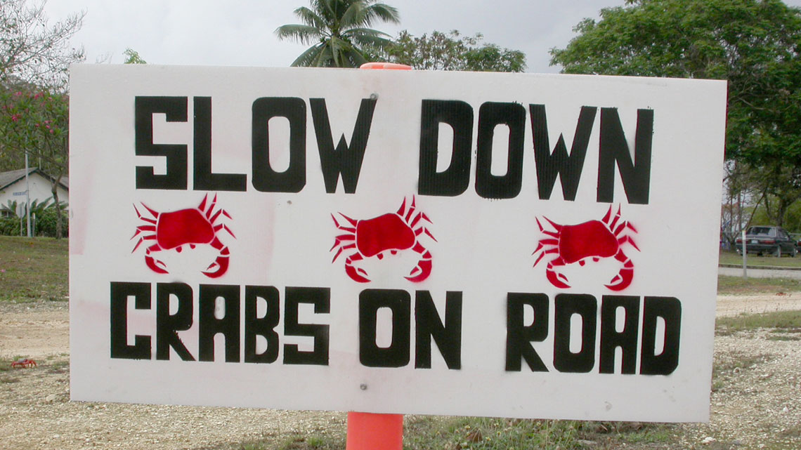 Un panneau de signalisation met en garde contre les crabes sur la route